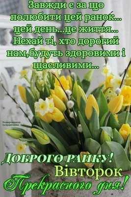 ДОБРОГО РАНКУ🍃 Пан Вівторок -... - Соломія Українець | Facebook