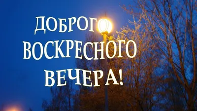 Kristina on X: \"@Olga_Zah Спасибо, Olga! Доброго воскресного вечера,  хорошего настроения Вам! https://t.co/GeY351gIB9\" / X