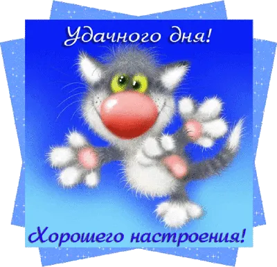 Доброго времени суток | Пикабу