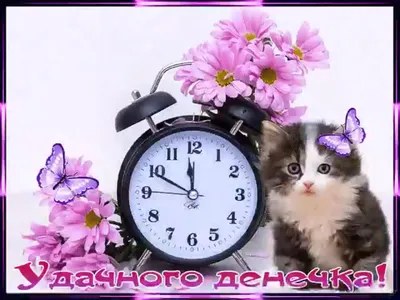 Всем доброго времени суток❤️ Приглашаем всех желающих посетить детский  центр развития \"УМКА\". В настоящее время вас ждут.. | ВКонтакте