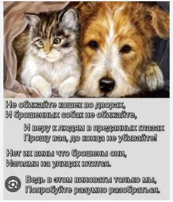 Доброго времени суток , меня интересует в каком году появился нами  обожаемый сайт^г^^ЩИ И каков б / History Joyreactor origins / смешные  картинки и другие приколы: комиксы, гиф анимация, видео, лучший  интеллектуальный