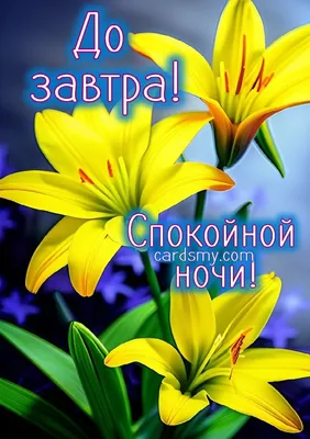 Ладно, я спать... давай до завтра - Спокойной ночи! картинки скачать | Ночь,  Спокойной ночи, Открытки