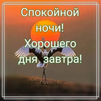 Необычные картинки \"Спокойной ночи!\" (190 шт.)