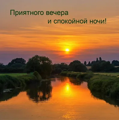 Необычные открытки спокойной ночи - 72 фото