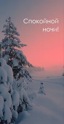 Спокойной ночи ❄️❤️❄️❤️❄️❤️! #добройночи#спокойнойночи#сл... | TikTok