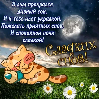 Спокойной ночки! 🌝💫⭐Приятных сновидений! ❤🥰😘#рекомендации #спокойн... |  TikTok