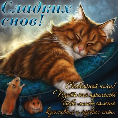 ДОБРОЙ НОЧИ!⭐ 🌙 Красивое пожелание Спокойной Ночи! Сладких Снов! Тебе от  меня! - YouTube