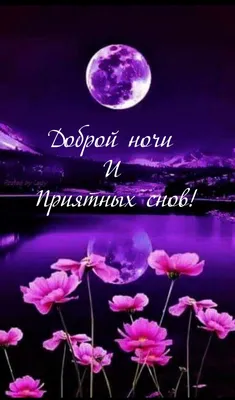 Доброй ночи Спокойной ночи Приятных Снов valentines day love night png  download - 4195*2737 - Free Transparent Valentines Day Love png Download. -  CleanPNG / KissPNG