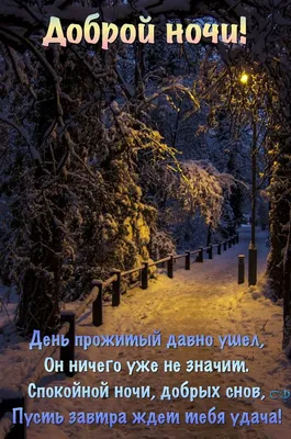 Красивые картинки \"Спокойной зимней ночи!\" (222 шт.)