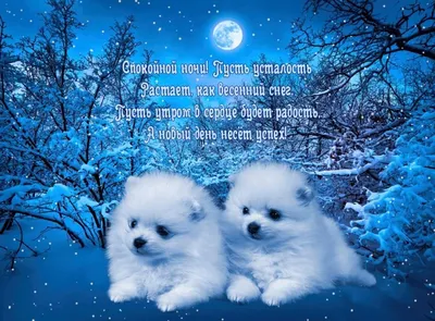 Картинки с пожеланием доброй зимней ночи (58 фото)
