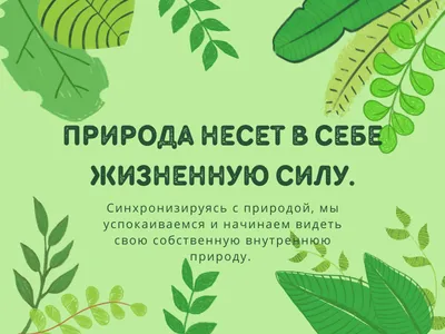 Акция «Добрые дела осенью» - презентация онлайн