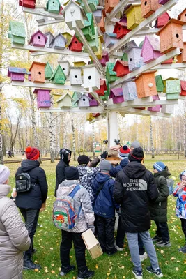Правильные экопривычки: как стать эковолонтером / Новости города / Сайт  Москвы