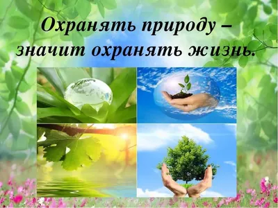 ПЕРВЫЙ ДЕТСКИЙ УНИВЕРСИТЕТ 🎓 (@domideti) • Instagram photos and videos