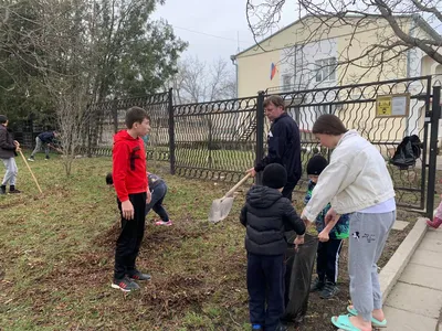 Прививать любовь и бережное отношение к окружающему миру — одна из главных  задач