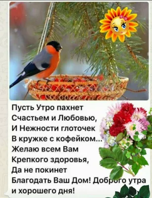Пин от пользователя Елена на доске Доброе утро | Сердечные цитаты, Картинки  для поднятия настроения, Утренние цитаты