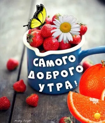 С Добрым Утром Новейшие Картинки Веселые – Telegraph