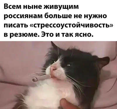 Добрые картинки с надписями