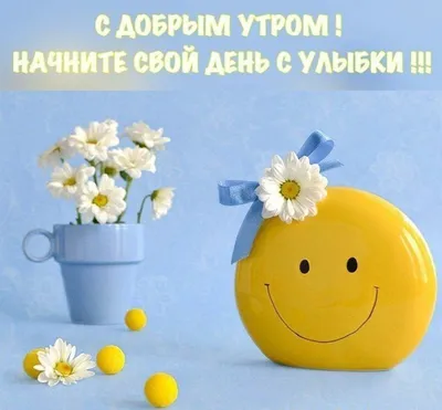 Создать мем \"позитивные картинки для поднятия настроения, позитива на весь  день, добрые фотографии\" - Картинки - Meme-arsenal.com