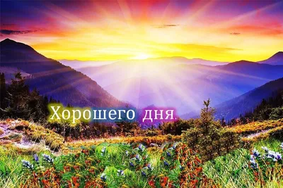 💙💛Українська аватарка 💙💛 Ави Україна, Аватарки украинские, украинские  Авы, ава Украина, Украина | Anime, Ukraine, Art