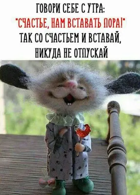 Картинки поздравление с добрым утром природа (60 фото) » Картинки и статусы  про окружающий мир вокруг