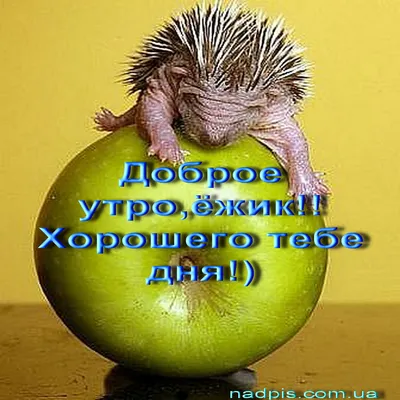 Любовь без границ