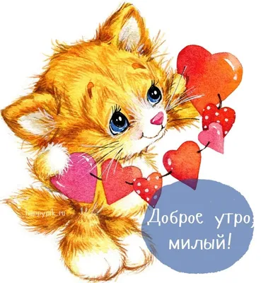 Сова и яблоки.