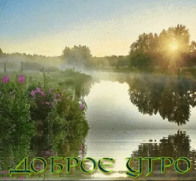 Скачать глупые картинки на аву - подборка фото