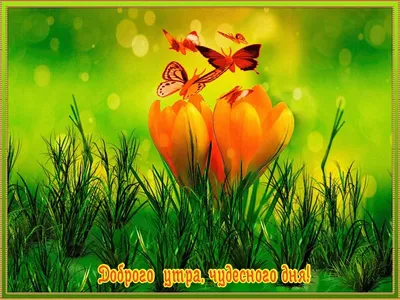 Картинки с добрым утром позитивные природа красивые (66 фото) » Картинки и  статусы про окружающий мир вокруг