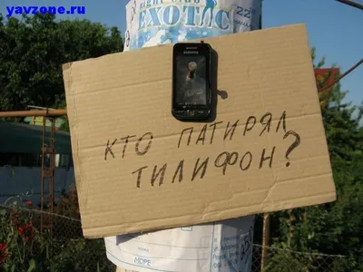 Картинки на аву собаки (66 фото) - картинки sobakovod.club