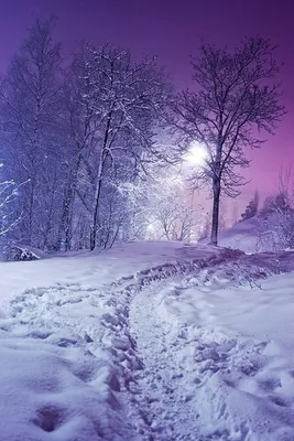 Картинки со смыслом (303 шт.)