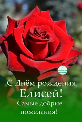 Поздравляем с днём рождения 🥳Филиппову Татьяну Валентиновну Пусть для тебя  цветут цветы.. | ВКонтакте