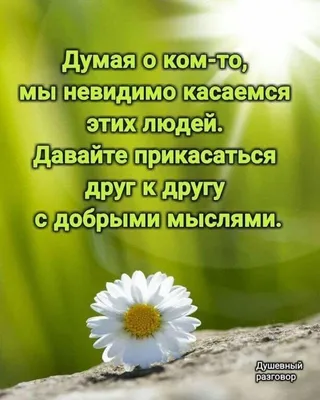 Рождественская акция «Добрые мысли творят чудеса!»