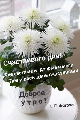 Открытка \"Добрых и приятных мыслей\" купить за 270 руб. с круглосуточной  доставкой по Москве | Мосцветторгком