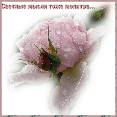 Фотосесия \"Добрые мысли\" в Граде. Найди себя )) -Новости