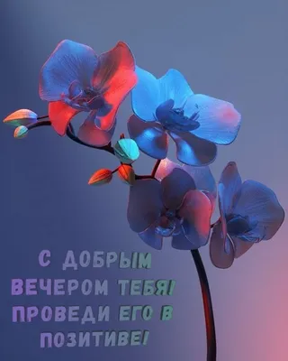 Летние картинки \"Добрый вечер!\" (150 шт.)