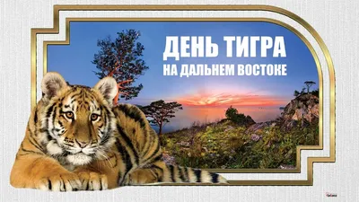 Аномально добрый тигр и недружелюбный детеныш леопарда и пантеры - KP.RU