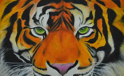 Добрый тигр , эстетично, красиво, …» — создано в Шедевруме