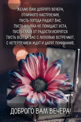 Добрый вечер 🌹💕☕️ - Красивые Картинки, Стихи и Видео | Facebook