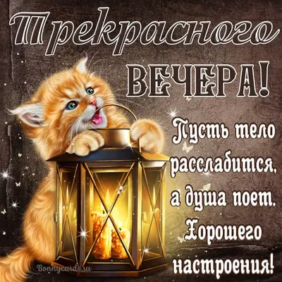 https://pozitivny.ru/kartinki/dobryy-vecher-kartinki-krasivye