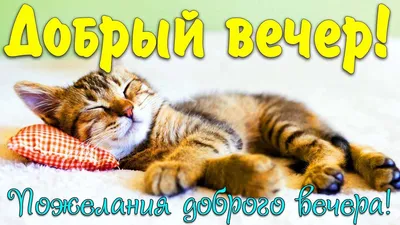 Красивые картинки \"Добрый вечер!\" (593 шт.)
