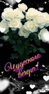 Прикольные картинки \"Доброго Вечера!\" (247 шт.)