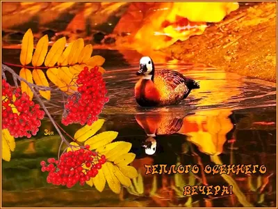 Одноклассники, добрый вечер | Музыкальные Открытки Бесплатно