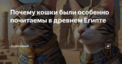 Картинки Добрый Вечер С Котами – Telegraph