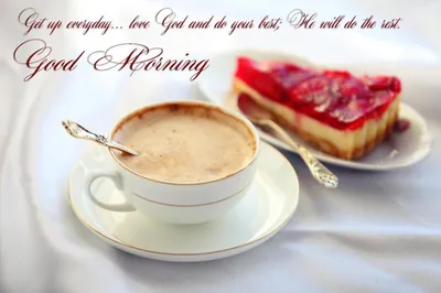 transly.me