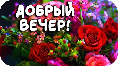 Добрый вечер Универсальные – С Добрым Утром!