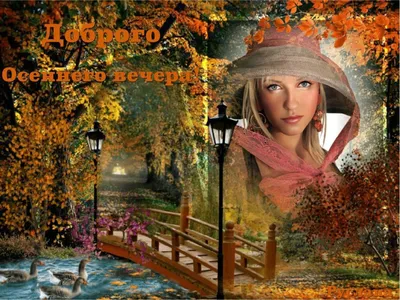 Хорошего осеннего вечера - новые красивые открытки (43 ФОТО)