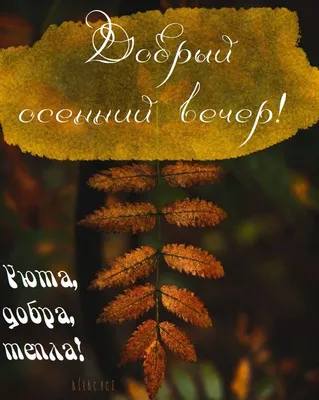 Добрый вечер друзья 🤗🍃🍂🍁 Не могу не поделиться красками  з🍁о🍂л🍃о🍂т🍁о🍂й осени 💚💛🧡❤🤎 Приятного просмотра 🤗🍁🍃😍 Всем  хорошего вечера ☕️🥯 С… | Instagram