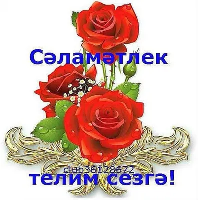 пожелания доброго вечера и спокойной ночи дорогоиу другутна татарском  языке｜Поиск в TikTok
