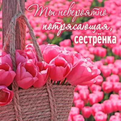 Сестра! Добрый зимний вечер! Красивая открытка для Сестры! Прикольная  открытка. Анимация с камином! Собачка спит на пледике возле роз и камина.  Зима!
