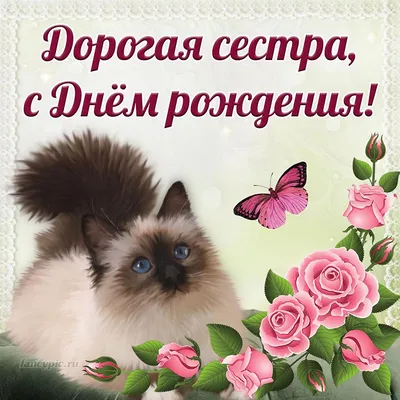 Сестренка добрый вечер (37 фото) » Юмор, позитив и много смешных картинок